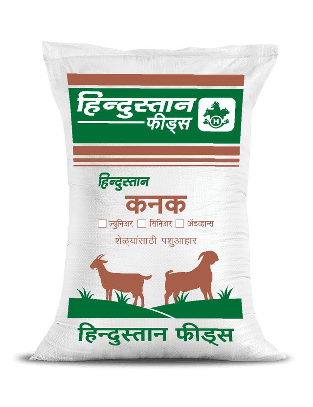Kanak Senior