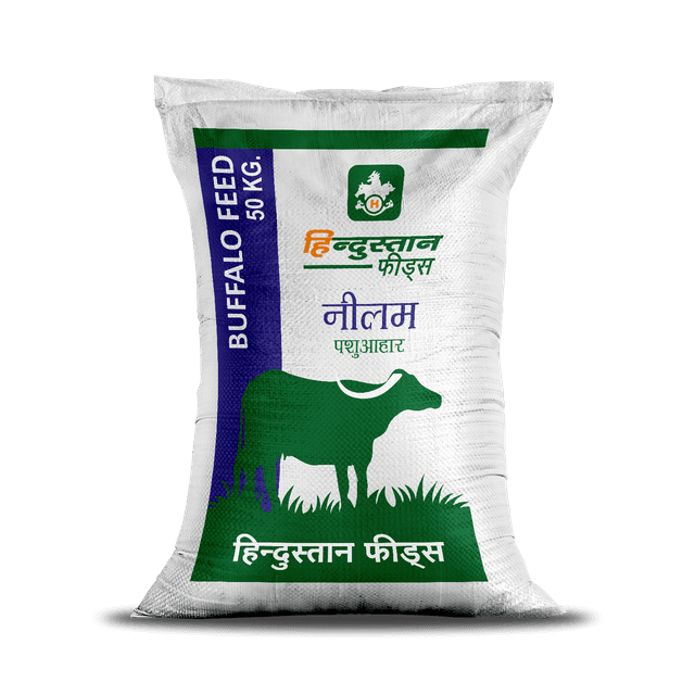 Neelam